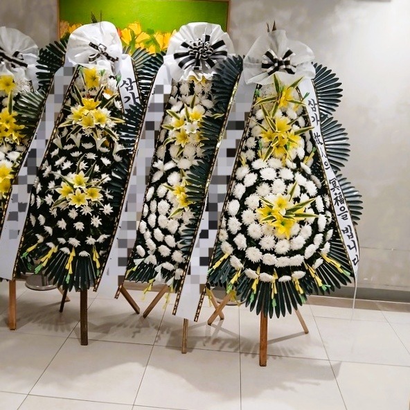 ����3��ȭȯ